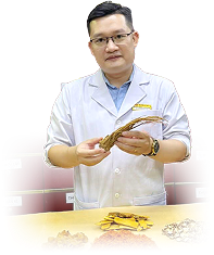 Bác sĩ Trần Hải Long