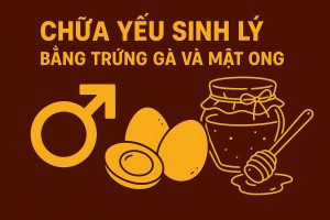 Mẹo Chữa Yếu Sinh Lý Từ Trứng Gà Mật Ong – Dùng Đúng Cách, Khỏe Mạnh Lâu Dài