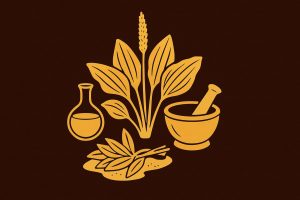 Cây mã đề – Thảo dược dân gian giúp thận khỏe và thanh lọc cơ thể