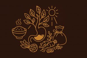 Dưỡng Tỳ Vị Mỗi Ngày – Bí Quyết Khỏe Mạnh, Dẻo Dai, Sống Lâu