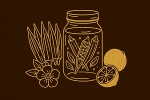 Đậu bắp – “thần dược nhớt” tốt cho ruột, dạ dày và khớp