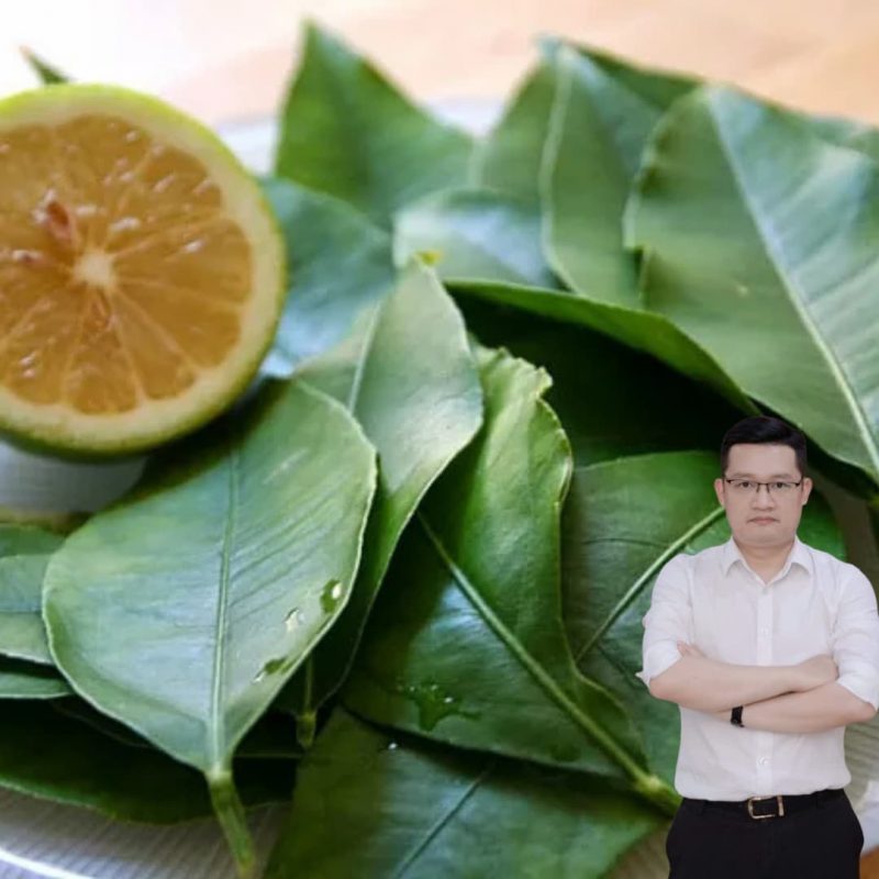 Lá chanh – Bí quyết dân gian giúp thanh lọc gan và ổn định đường huyết
