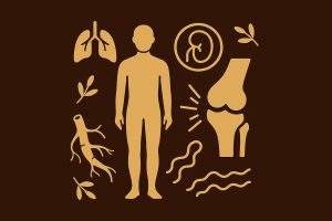 Khớp kêu mỗi sáng: dấu hiệu khí huyết đình trệ và cách khắc phục