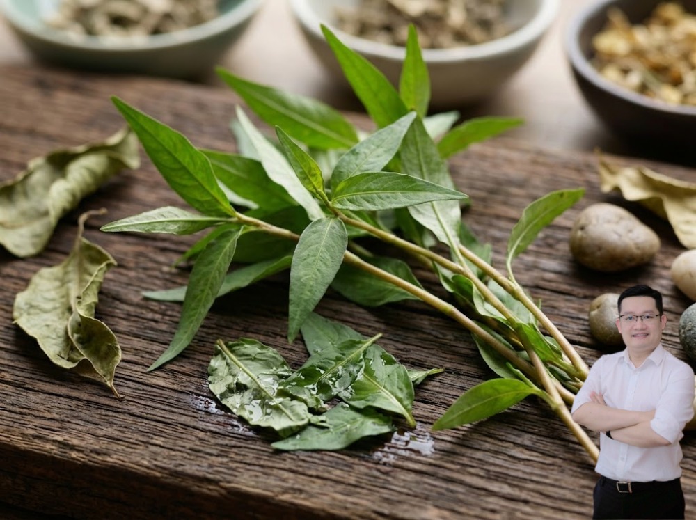 Bên cạnh đó, nhóm hợp chất Flavonoid trong loại rau này hoạt động như một màng chắn bảo vệ tế bào, g