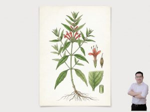 thumb-bai-viet-cay-bim-bip-chua-than-hu