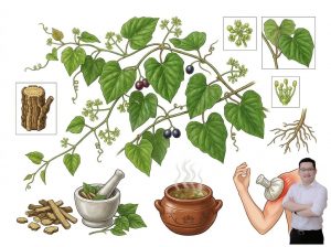 thumb-bai-viet-cay-cay-voi-chua-dau-nhuc-co