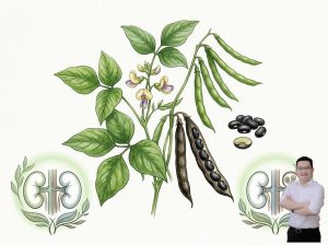 thumb-bai-viet-cay-do-den-bao-ve-than