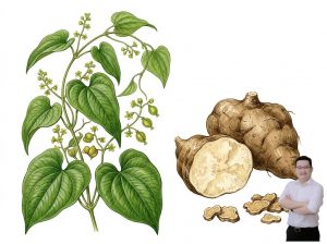 thumb-bai-viet-cay-ty-giai-giam-sung-dau-khop