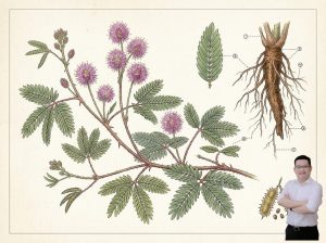 thumb-bai-viet-cay-xau-ho-chua-sung-viem-khop